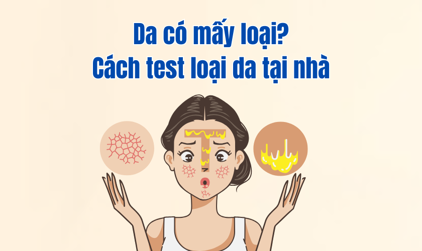 Da Có Mấy Loại? Cách Test Loại Da Tại Nhà Chuẩn Xác Nhất - Renoskin