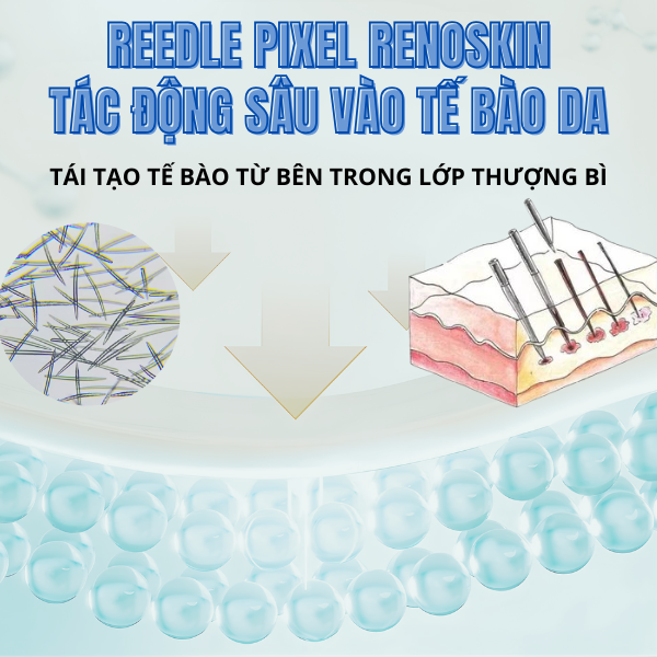 renoskin.vn