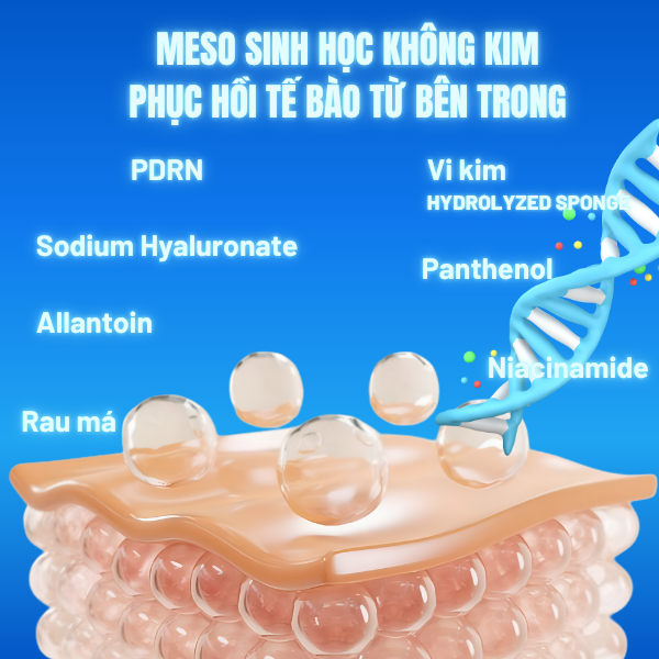 renoskin.vn